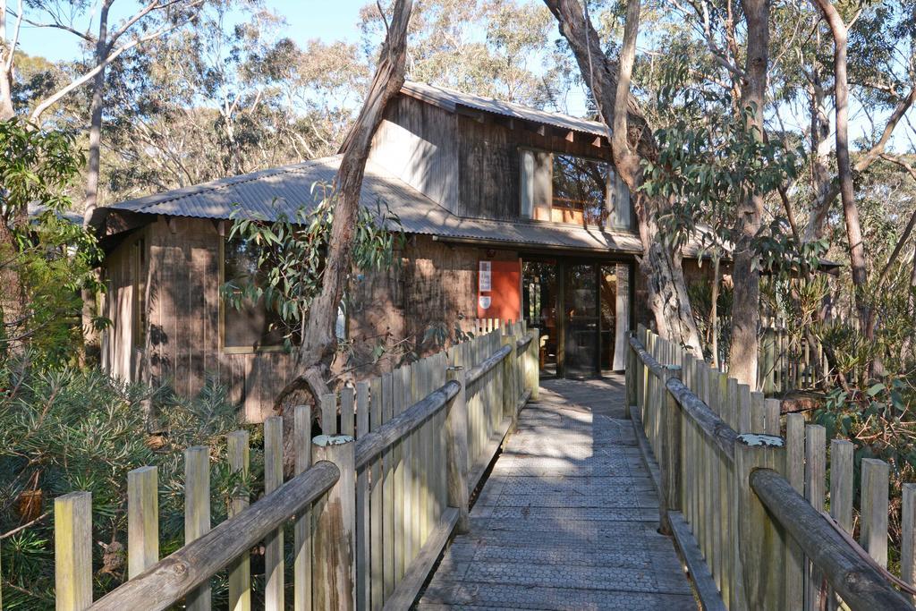 Jemby Rinjah Ecolodge Блэкхит Номер фото